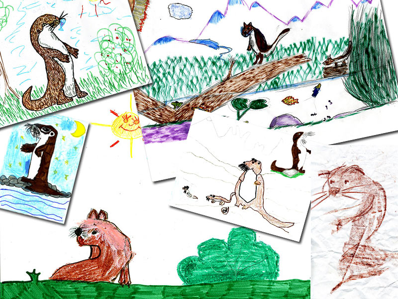 Alcuni disegni sulla lontra