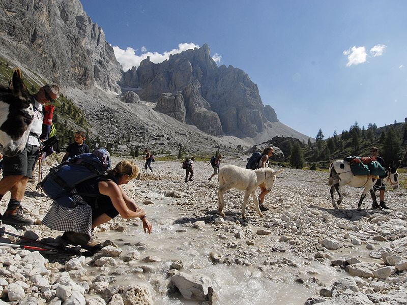 Val Venegia, trekking con gli asini 2012 --- © Valentina Musmeci --- "Dove pensano gli asini" www.dovepensanogliasini.it