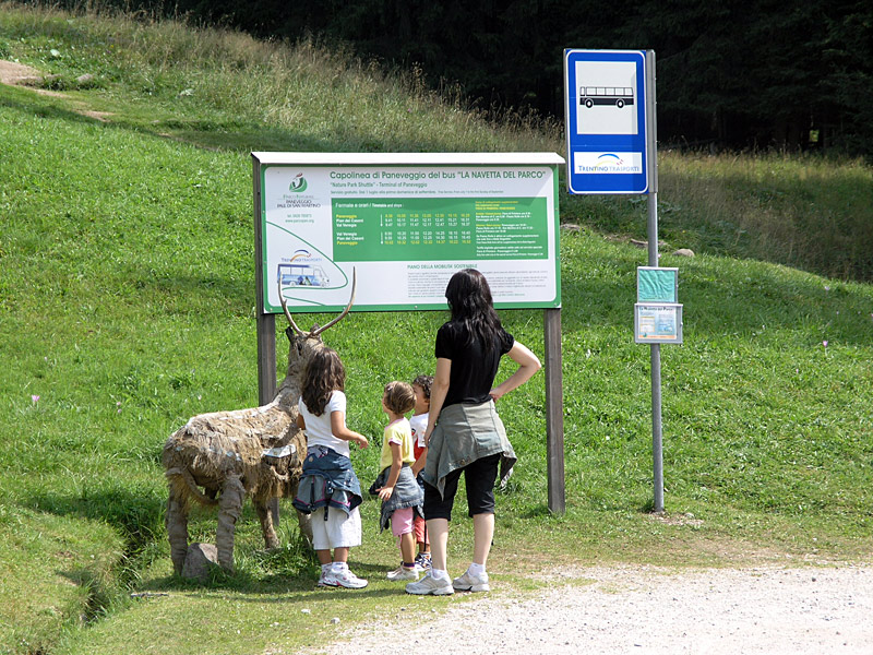 Aspettando il bus navetta