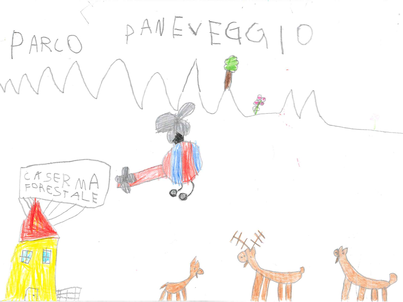 Disegno Aurora