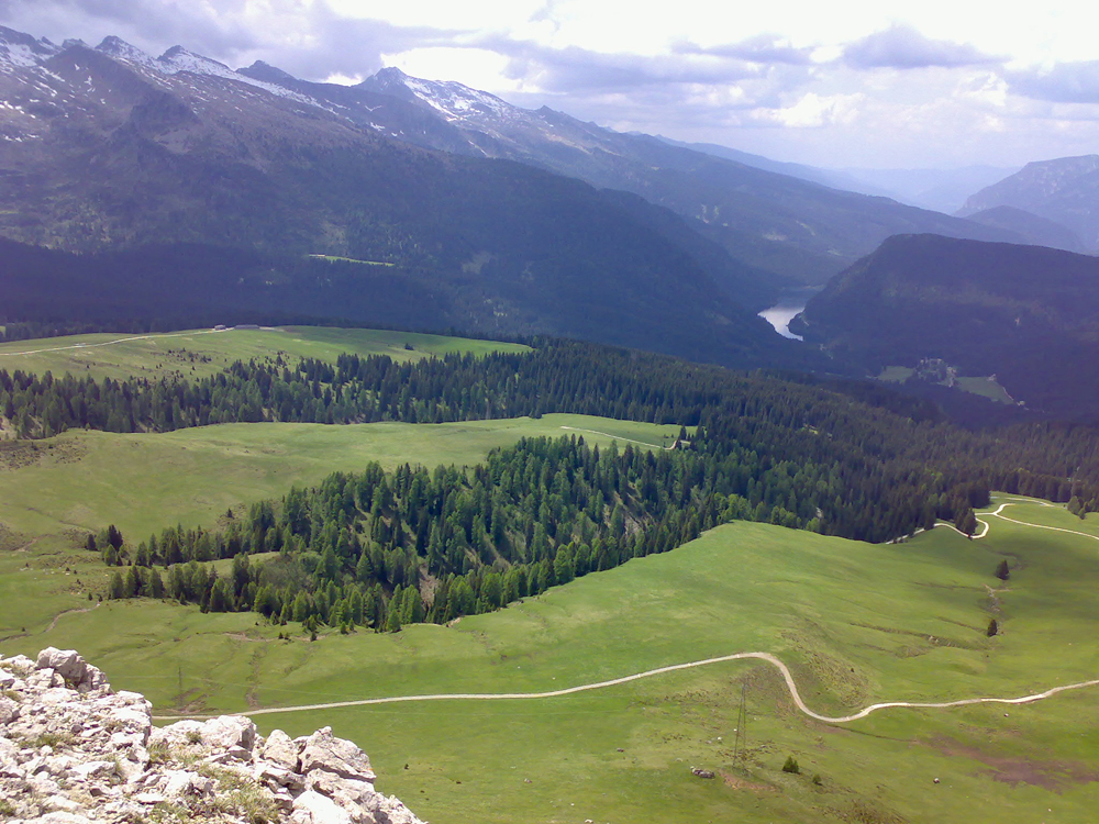 Foresta di Paneveggio