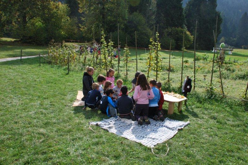 Gioco sensoriale per il riconoscimento delle sementi