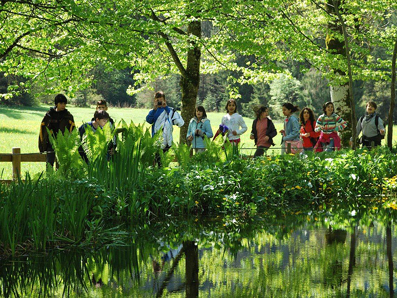 Gruppo a Villa Welsperg