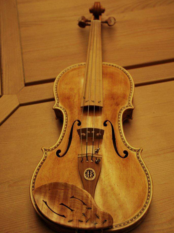 Il violino donato al Parco