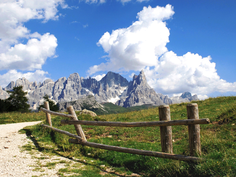 Le Pale di San Martino... giungendo a Malga Bocche