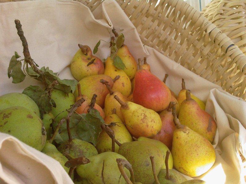 Le pere di Sagron Mis