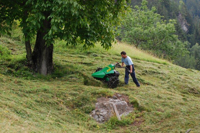 Lo sfalcio motorizzato con falciatrice è consentito dal regolamento degli incentivi
