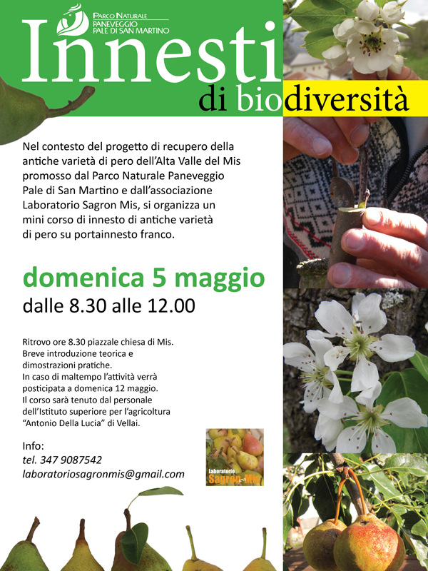 Locandina corso innesto