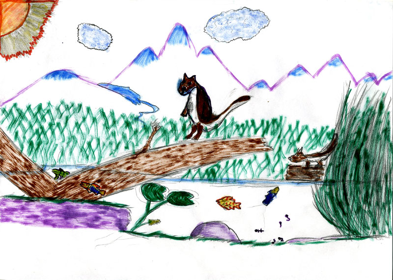 Disegno 27