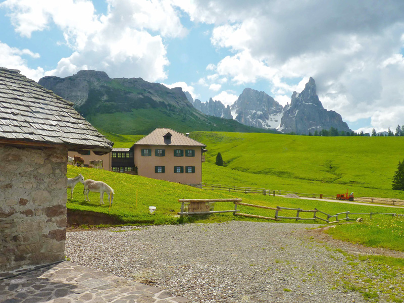 Malga Juribello con le Pale di San Martino