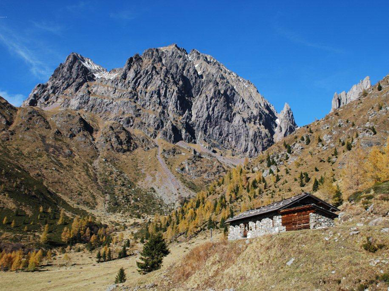 Malga Miesnotta di sopra con dietro la Cima Cece
