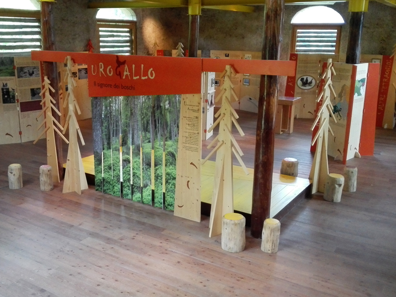 Mostra Urogallo 2016