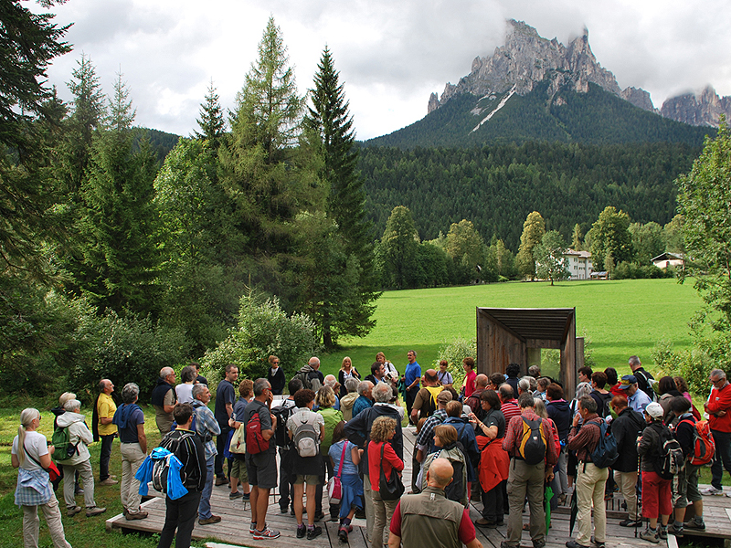 Muse Fedaie in Val Canali