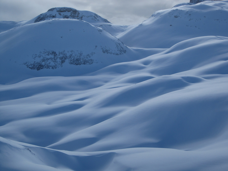 Pale di San Martino Frost Hollow 1