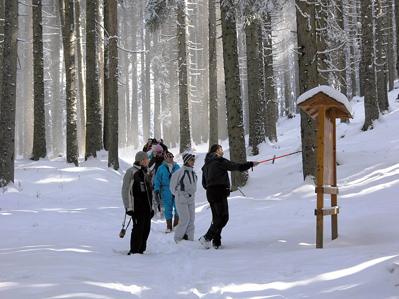 Passeggiata invernale