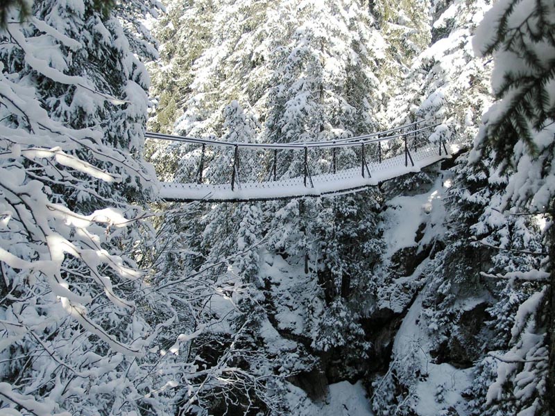 Ponte sospeso Forra Travignolo inverno