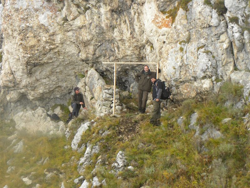 Preparazione della trappola per la cattura di esemplari di camoscio