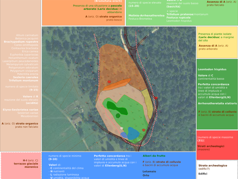 Progetto REMO analisi vegetazione