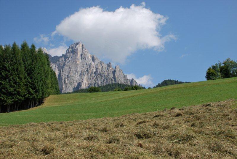 Sfalci
