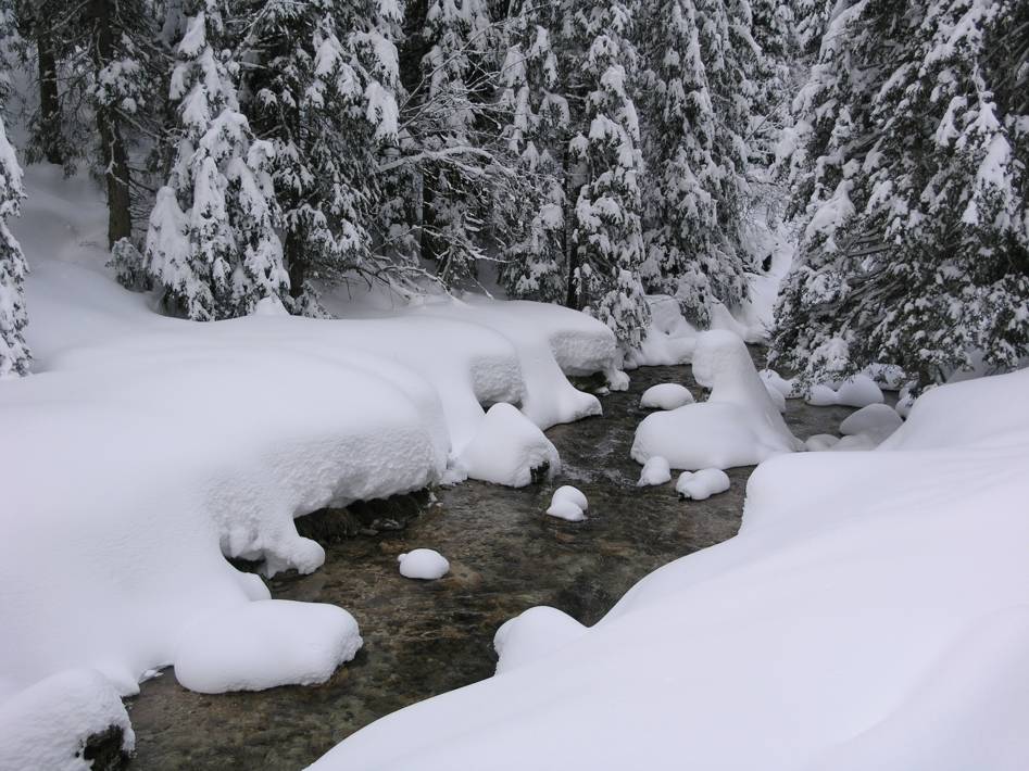 Venegia inverno