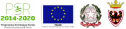 loghi-parcopan-unione-europea